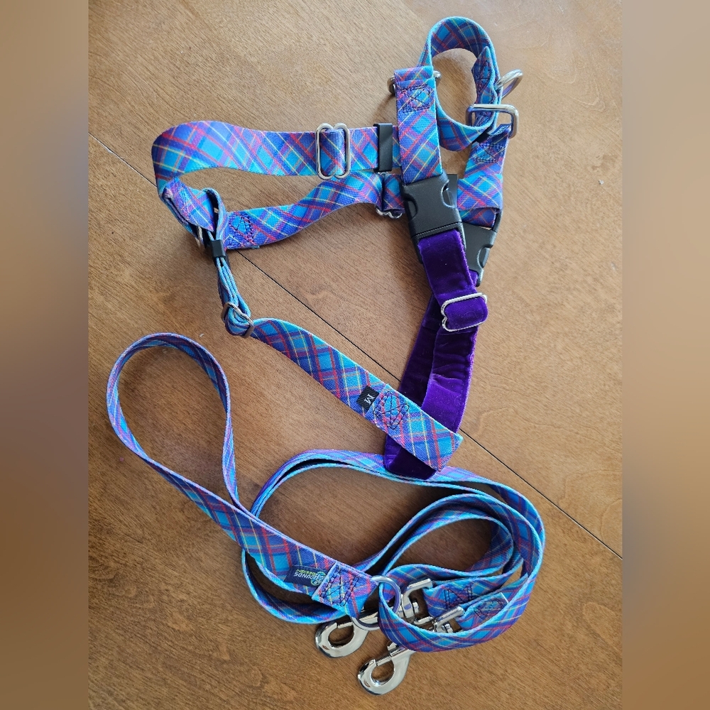 Vibrant Plaid Dog Harness and Leash Set